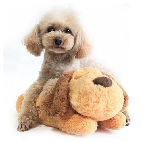 Heartbeat Puppy Training Toy
